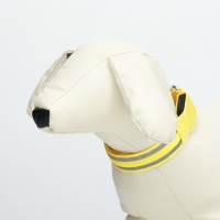 Ошейник с подсветкой Двойная полоса размер S, ОШ 35-43 х 2,5 см, 3 режима свечения жёлтый Ошейник с подсветкой Двойная полоса размер S, ОШ 35-43 х 2,5 см, 3 режима свечения жёлтый