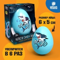 Набор для творчества. Вырасти своего питомца &laquo;Опасно&raquo;