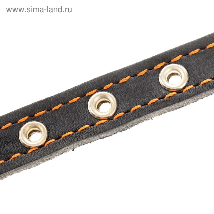 Ошейник кожаный на синтепоне, безразмерный, 37 х 1,5 см, ОШ 21-31 см, синий