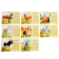 Набор животных с обучающими карточками &laquo;Фермерское хозяйство&raquo;, животные пластик, карточки, по методике Монтессори