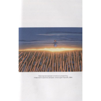 Волшебные миры Хаяо Миядзаки. Нейпир С.