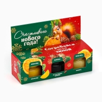 Новый год! Подарочный набор &laquo;Согревайся этой зимой&raquo;, два Мёд кремовыйа и варенье с шишками, 3 х 30 г
