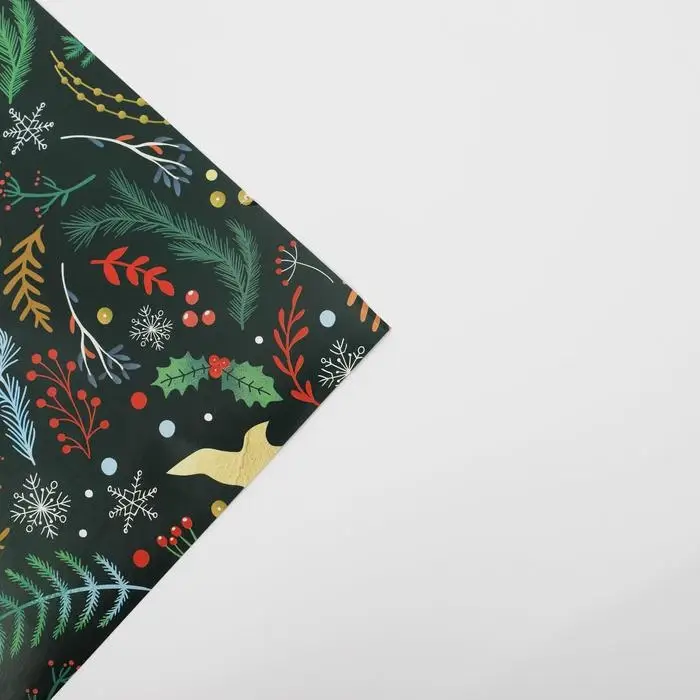 Бумага упаковочная глянцевая &laquo;Европейский стиль&raquo;, 70 х 100 см