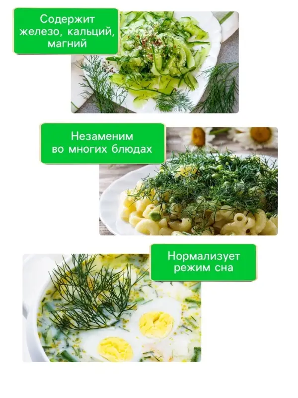 Семена Укроп "Кибрай", 1 г