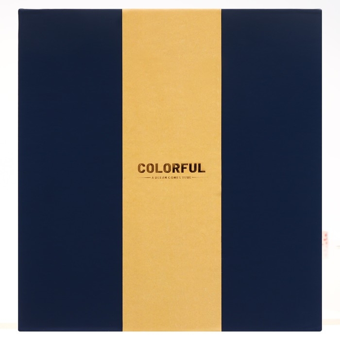 Органайзер на кольцах А6+, 80 листов, кожзам, c клапаном, линия, с ручкой, в подарочной коробке, синий