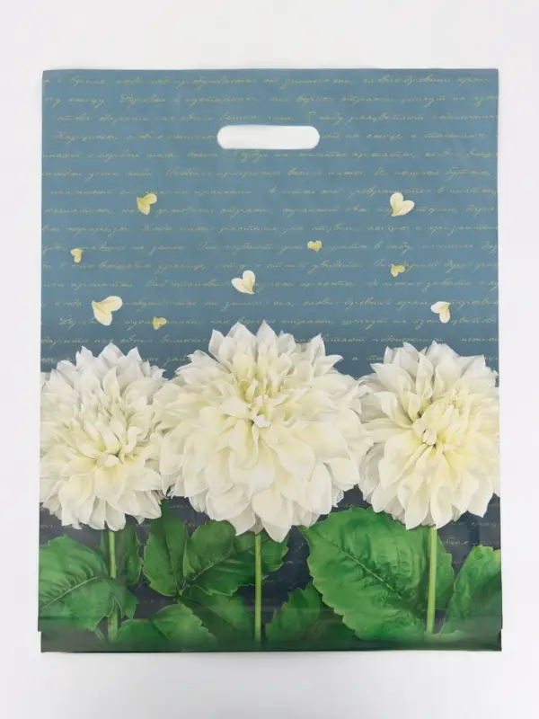 Пакет подарочный &laquo;Аллегория&raquo;, полиэтиленовый с вырубной ручкой 40&times;50 см, 80 мкм