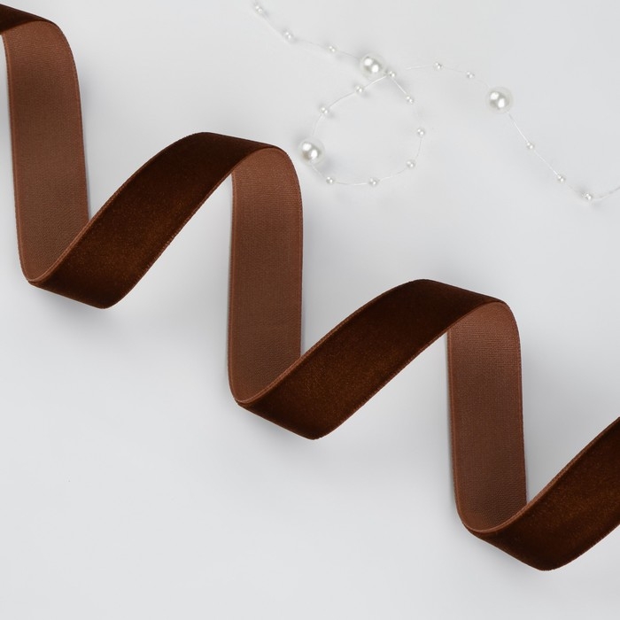 Лента бархатная, 20 мм, 18 ± 1 м, цвет коричневый №119 Лента бархатная, 20 мм, 18 ± 1 м, цвет коричневый №119