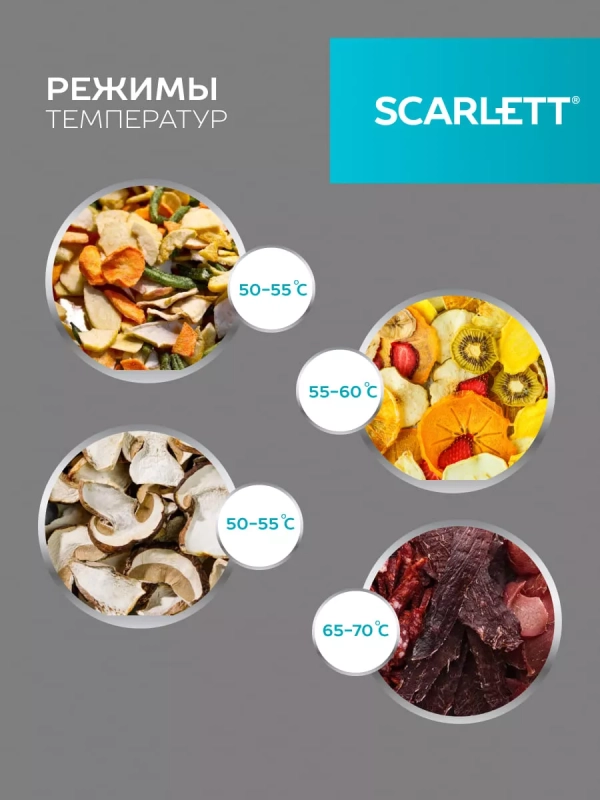 Сушилка для продуктов SC-FD421004