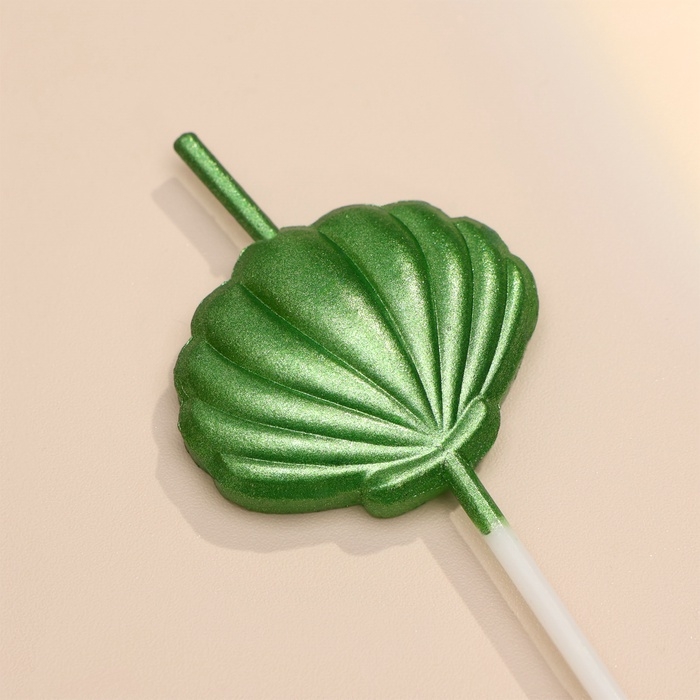 Набор свечей для торта, 5 шт "Морские ракушки", разноцветные