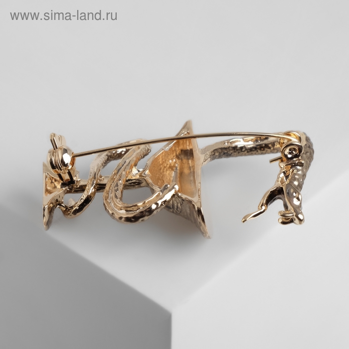 Брошь «Змея в геральдике» медицина, цвет чернёное золото Брошь «Змея в геральдике» медицина, цвет чернёное золото