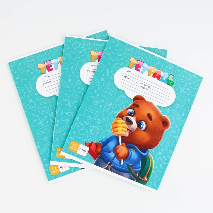 Набор школьника "Учись на 5+"