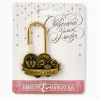 Замок свадебный &laquo;Ты+я=семья&raquo;, 5.2 х 7.6 см.