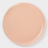 Тарелка Доляна &laquo;Кремовое облако&raquo;, d=27 см, керамика, персиковая