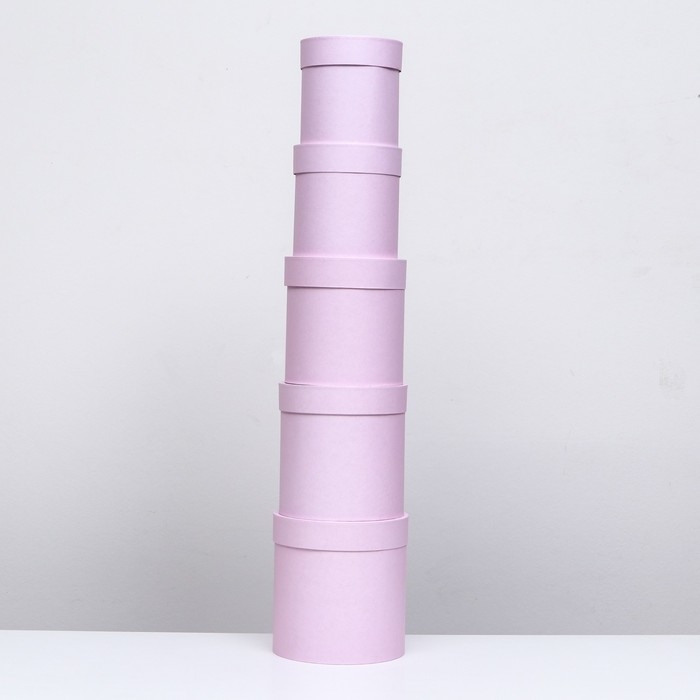 Набор круглых коробок 5 в 1 "Пыльная роза", 20 х 20 - 15 х 15