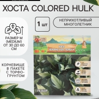 Хоста Colored Hulk, корневище в пакете с торфогрунтом, р-р I, размер M,1 шт.