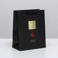 Пакет подарочный ламинированный вертикальный, упаковка, &laquo;Gift to you&raquo;, MS 18 х 23 х 10 см