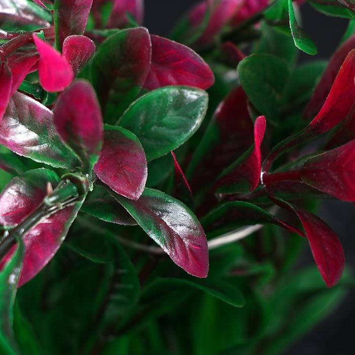 Растение искусственное Растение искусственное