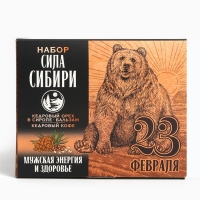 Набор &laquo;Сила Сибири&raquo;: кедровый орех в сосновом сиропе 25 г., бальзам 100 мл., кедрокофе 50 г.