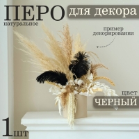 Перо для декора 1 шт., размер — 20,5 × 7,5 см, цвет чёрный Перо для декора 1 шт., размер — 20,5 × 7,5 см, цвет чёрный