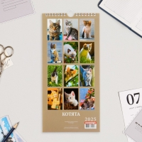 Календарь на ригеле "Котята" 2025 год, 16,5 х 34 см Календарь на ригеле "Котята" 2025 год, 16,5 х 34 см