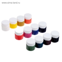 Краска акриловая, набор 12 цветов х 20 мл, Calligrata, художественная, морозостойкая, в картонной коробке Краска акриловая, набор 12 цветов х 20 мл, Calligrata, художественная, морозостойкая, в картонной коробке