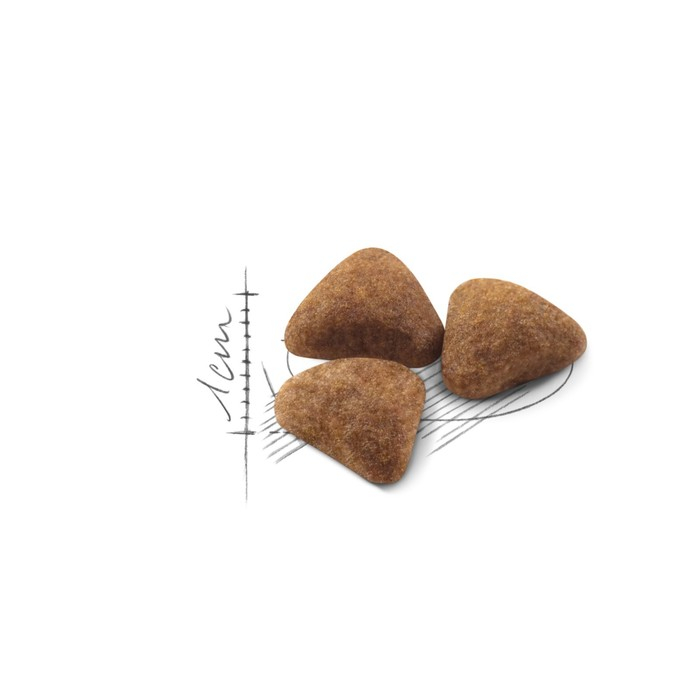 Сухой корм RC Indoor для кошек живущих в помещении, 2 кг