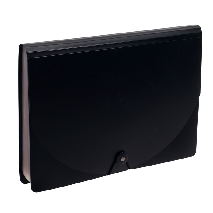 Папка на резинке А4, 24 отделения (разноцветные), чёрная Папка на резинке А4, 24 отделения (разноцветные), чёрная