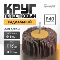 Круг лепестковый радиальный ТУНДРА, 80&times;40&times;6 мм, Р40
