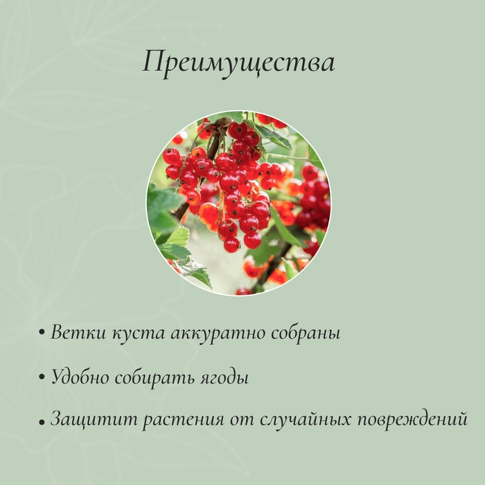 Кустодержатель, d = 40 см, h = 60 см, ножка d = 1 см, металл, набор 2 шт., зелёный Кустодержатель, d = 40 см, h = 60 см, ножка d = 1 см, металл, набор 2 шт., зелёный