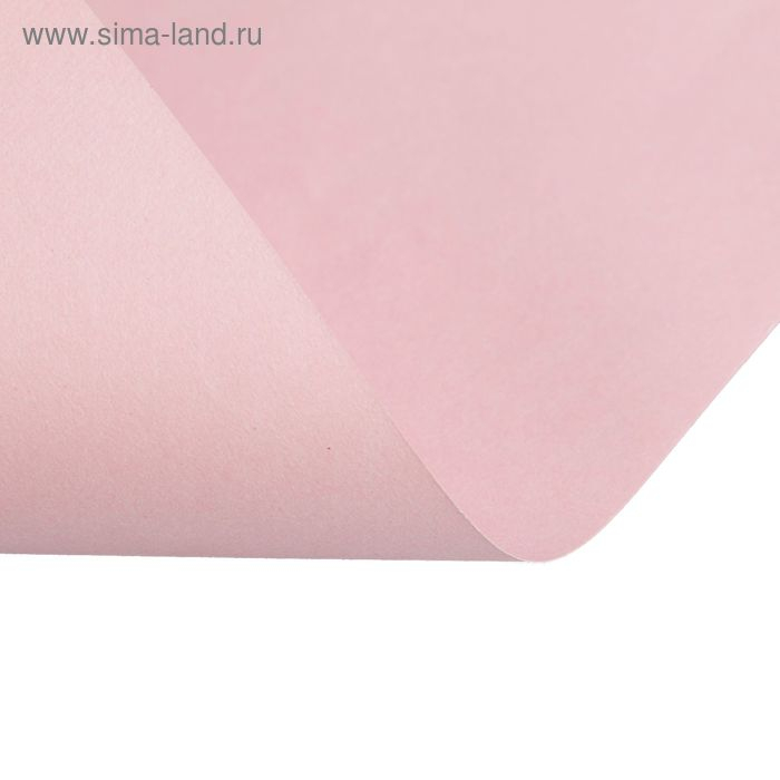 Бумага цветная А4, 250 листов Calligrata Пастель, 5 цветов, 80 г/м&sup2;