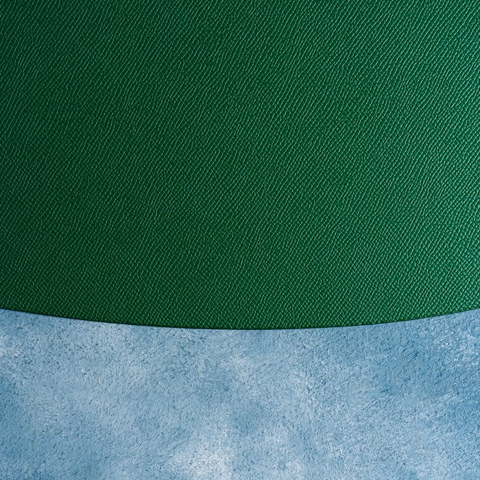 Салфетка сервировочная на стол Доляна &laquo;Тэм&raquo;, 44&times;35,5 см, цвет зелёный