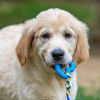 Игрушка "Сердечко с канатом", 7 см, голубое