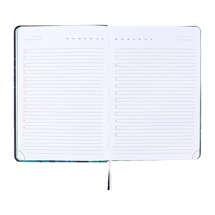 Ежедневник недатированный A5 136 листов кожзам deVENTE. Botanic, твердая обложка с поролоном, перфорация, ляссе, блок 70, синий