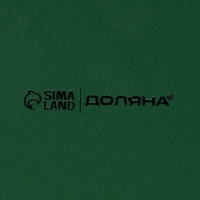 Блинница новогодняя Доляна &laquo;Приближение чуда&raquo;, d=23 см, керамика, цвет белый