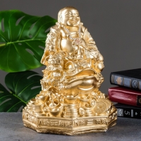 Копилка "Хотей на жабе" 27х20,5х20,5см Копилка "Хотей на жабе" 27х20,5х20,5см