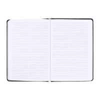 Телефонная книга А5, 64 листа deVENTE. Bravo, твердая обложка из искусственной кожи с поролоном, блок 70 г/м2, зелёный Телефонная книга А5, 64 листа deVENTE. Bravo, твердая обложка из искусственной кожи с поролоном, блок 70 г/м2, зелёный