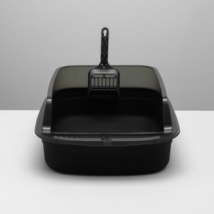 Туалет с прозрачными бортами с совком и фильтром, 50 х 34 х 18 см, чёрный Туалет с прозрачными бортами с совком и фильтром, 50 х 34 х 18 см, чёрный