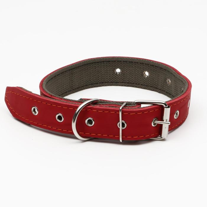 Ошейник комбинированный кожа/брезент, безразмерный, 70 х 3,5 см, ОШ 25-60 см, красный Ошейник комбинированный кожа/брезент, безразмерный, 70 х 3,5 см, ОШ 25-60 см, красный