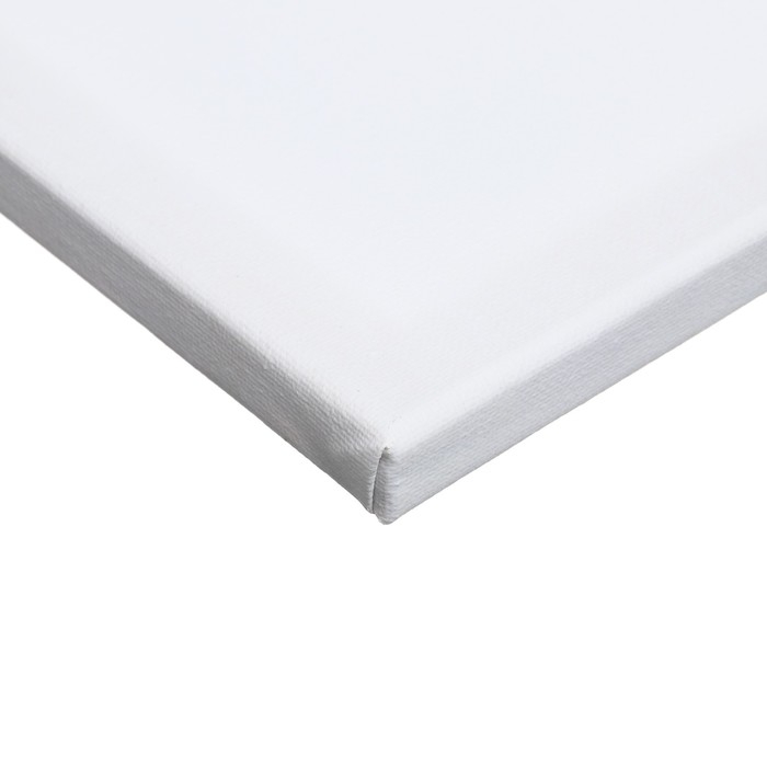 Холст на подрамнике 1,6х20х30 см, Calligrata, хлопок 100%, акриловый грунт, мелкозернистый 280г/м&sup2;