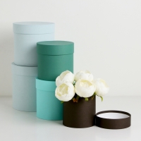 Набор шляпных коробок 5 в 1" Гармония" , 20 х 20 - 14 х 14 см