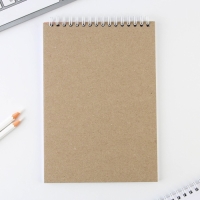 Скетчбук А5, 40 л 100 г/м2 &laquo;Кошка&raquo;