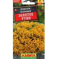 Набор Семена цветов многолетних (218584649) ВБ