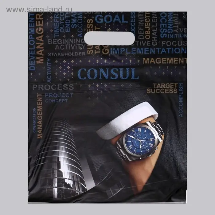 Пакет &laquo;Консул&raquo; полиэтиленовый с вырубной ручкой, 60 мкм 31&times;40 см