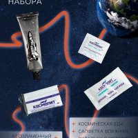 Космическое питание "Картофельное пюре с курицей", 165 г, в тюбике