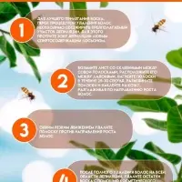 Восковые полоски Secret Beauty для депиляции лица, с мёдом, 10 шт