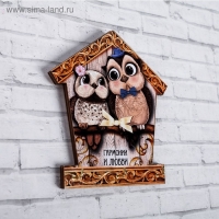 Ключница настенная &laquo;Гармония и любовь&raquo;, совы, 12,7 х 14,5 см.
