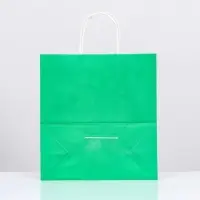 Пакет крафт &laquo;Радуга&raquo;, зелёный, 25&times;12&times;27 см, 80 г/м&sup2;, 1 шт.