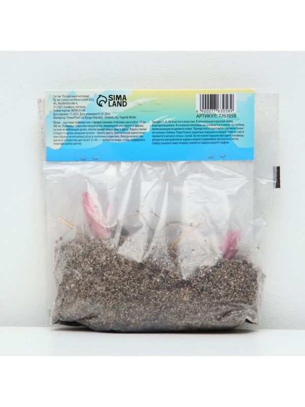 Лилия &laquo;Ориентал Диззи&raquo;, луковица в пакете с перфорацией, р-р 14/16, 2 шт.