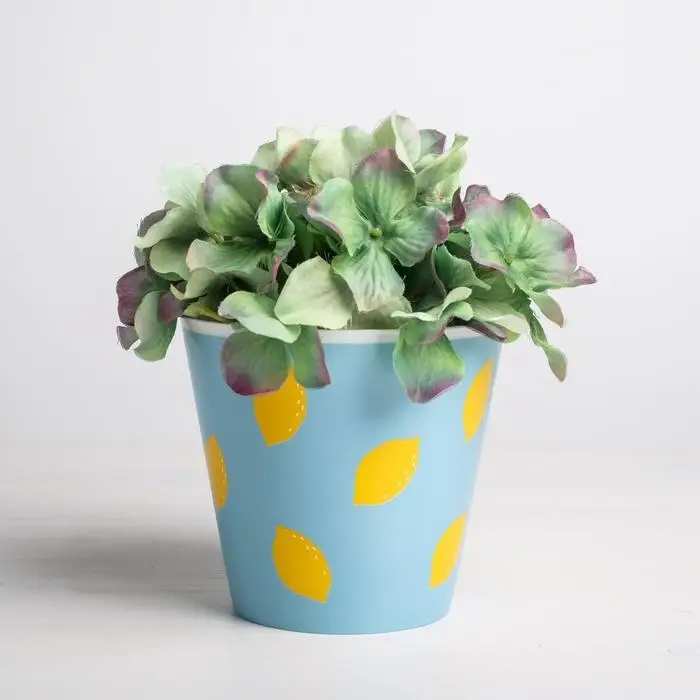 Набор кашпо для цветов 3 в 1 &laquo;Фрукты&raquo;, 0,8 л, 11 х 12 см