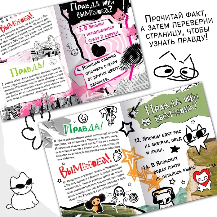 Книга &laquo;Правда или ложь. 24 факта о Японии&raquo;, А5, Аниме